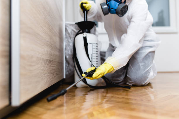 Best Termite Control Services  in St Maries, ID