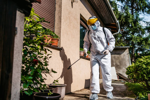 Pest Prevention Services in St Maries, ID