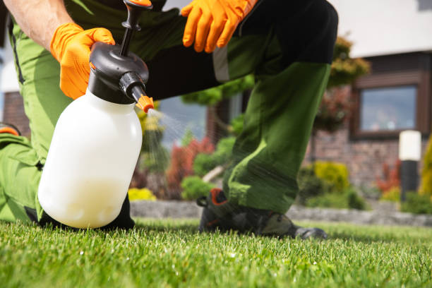 Best Emergency Pest Control  in St Maries, ID