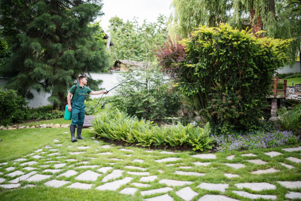 Best Residential Pest Control  in St Maries, ID