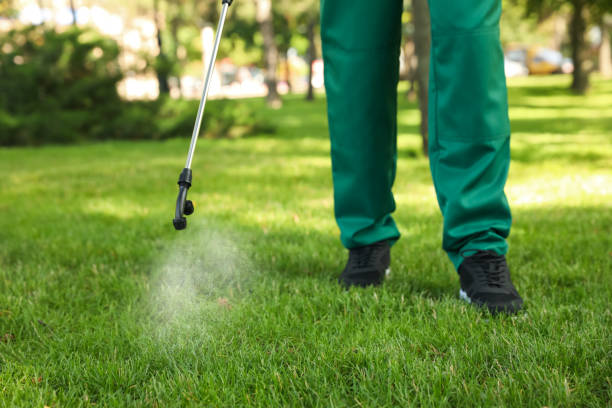 Best Flea Control Services  in St Maries, ID