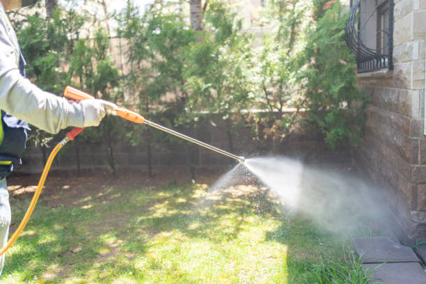 Best Pest Removal Services  in St Maries, ID