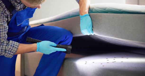 Best Local Pest Control Services  in St Maries, ID