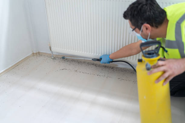 Best Best Pest Control Companies  in St Maries, ID
